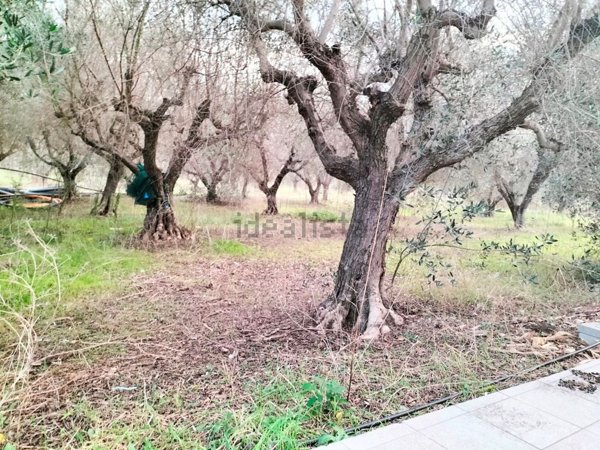 negozio in vendita a Giulianova