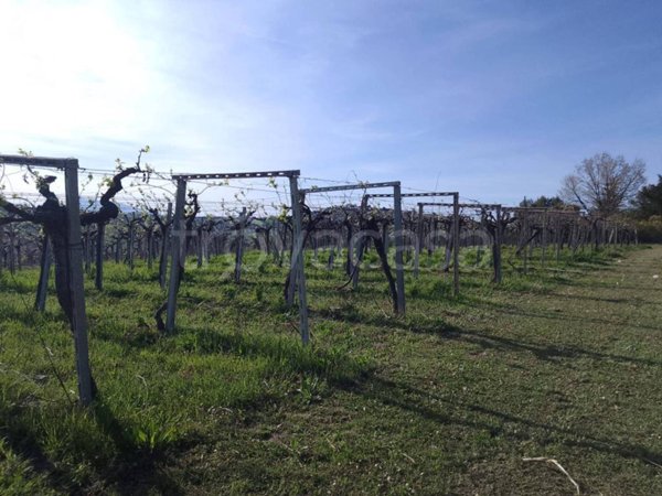 terreno agricolo in vendita a Giulianova