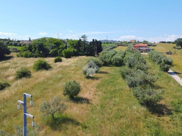 terreno agricolo in vendita a Giulianova