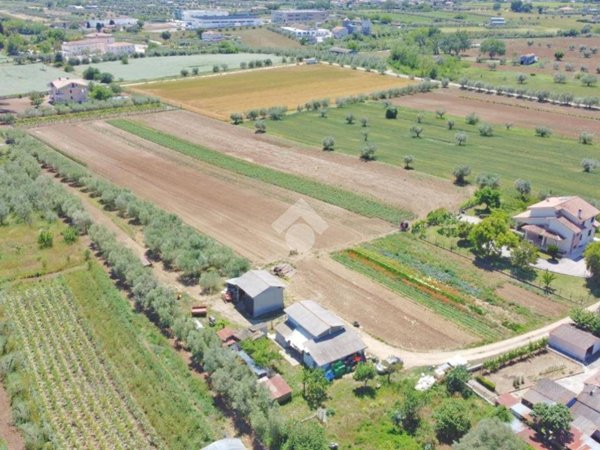 terreno agricolo in vendita a Giulianova