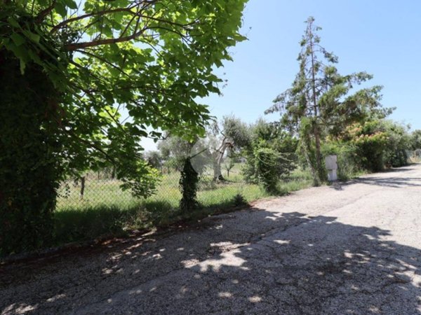 terreno agricolo in vendita a Giulianova