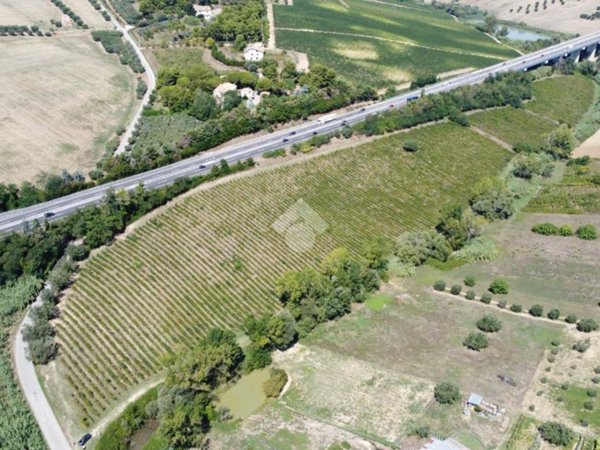 terreno agricolo in vendita a Giulianova