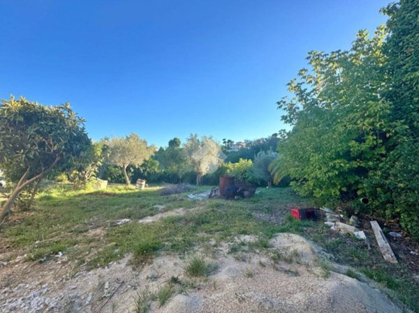 terreno agricolo in vendita a Giulianova