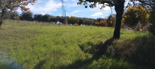 terreno agricolo in vendita a Giulianova