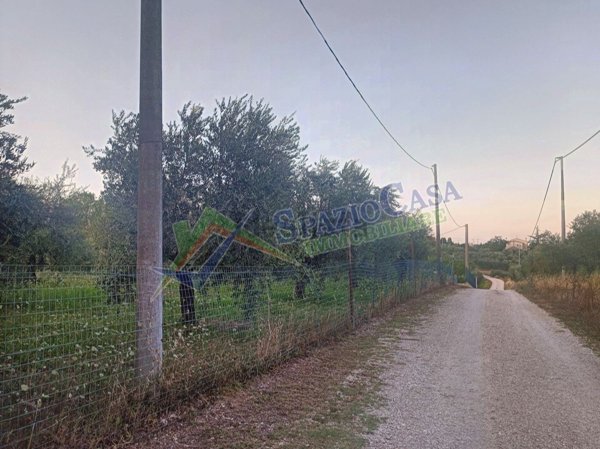 terreno agricolo in vendita a Giulianova in zona Colleranesco