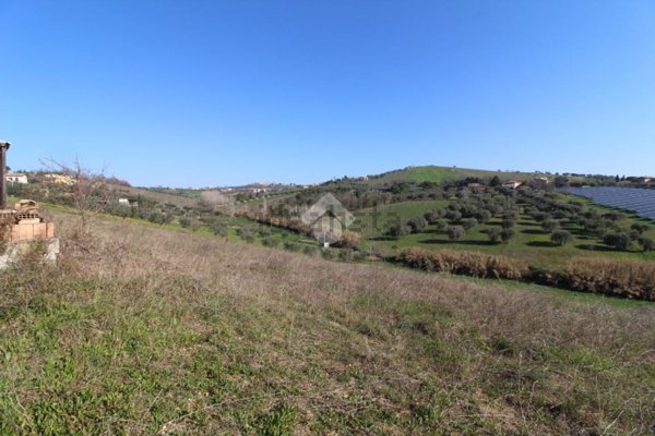 terreno agricolo in vendita a Giulianova in zona Case di Trento