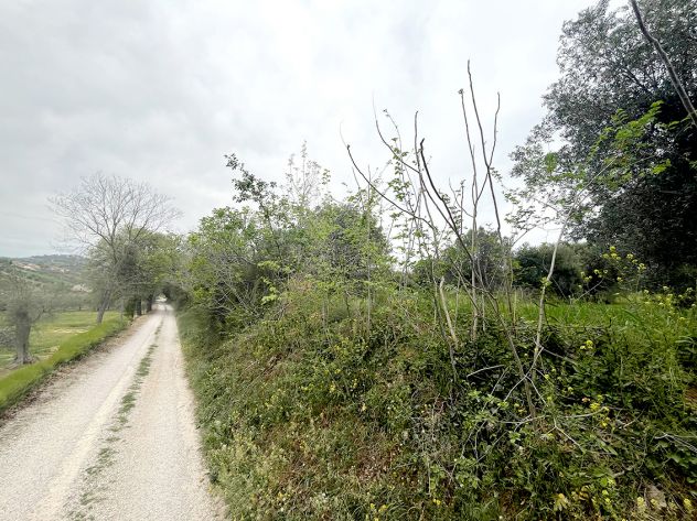 terreno edificabile in vendita a Giulianova