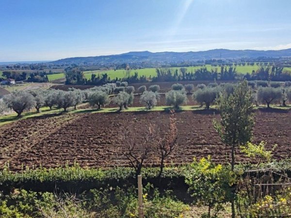 terreno agricolo in vendita a Giulianova
