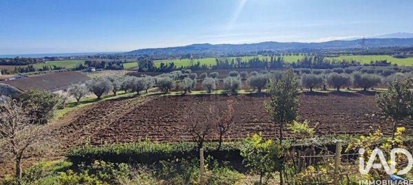 terreno agricolo in vendita a Giulianova