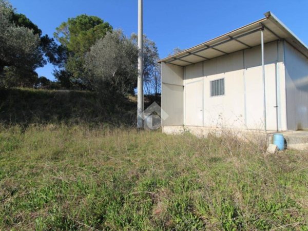 terreno agricolo in vendita a Giulianova in zona Case di Trento