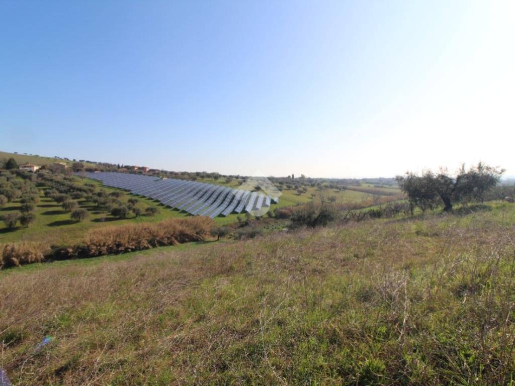 terreno agricolo in vendita a Giulianova in zona Case di Trento