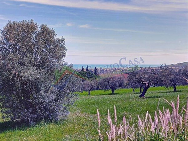 terreno agricolo in vendita a Giulianova in zona Case di Trento