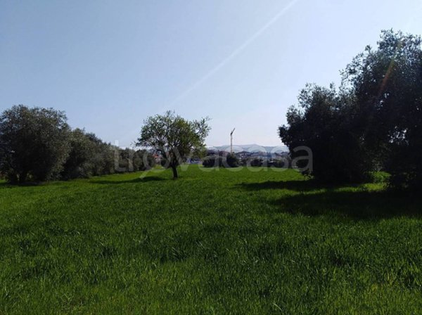 casa indipendente in vendita a Giulianova