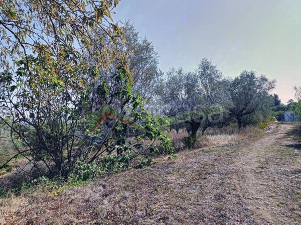 terreno agricolo in vendita a Giulianova in zona Case di Trento