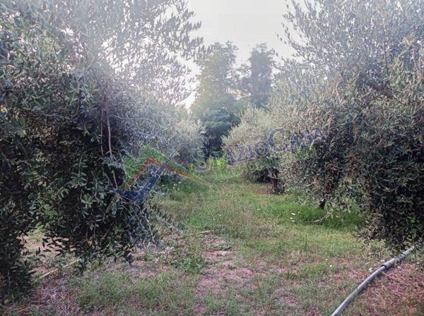 terreno agricolo in vendita a Giulianova in zona Colleranesco