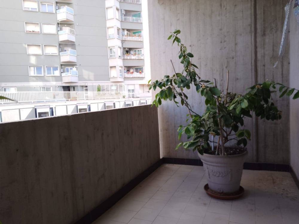 appartamento in vendita a Giulianova