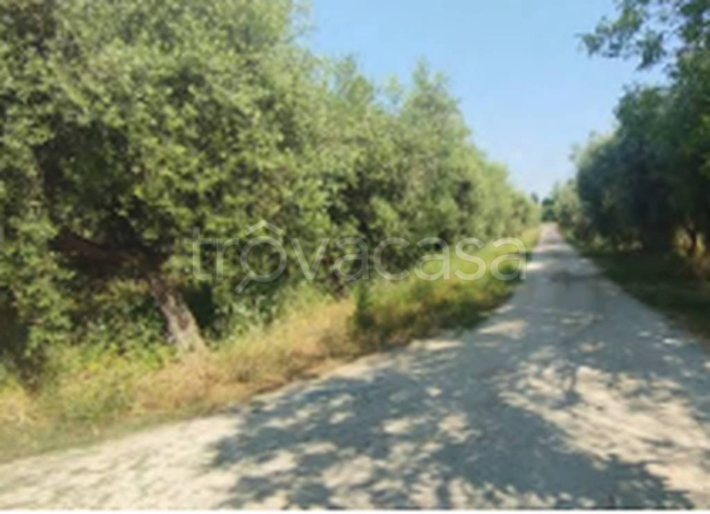 terreno edificabile in vendita a Giulianova