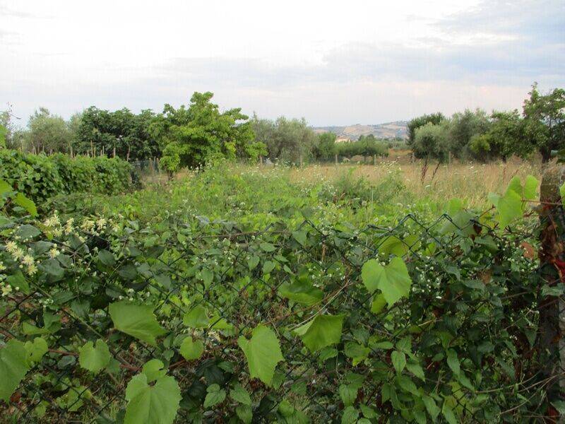 terreno edificabile in vendita a Giulianova
