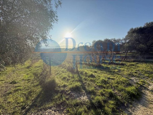 terreno agricolo in vendita a Giulianova