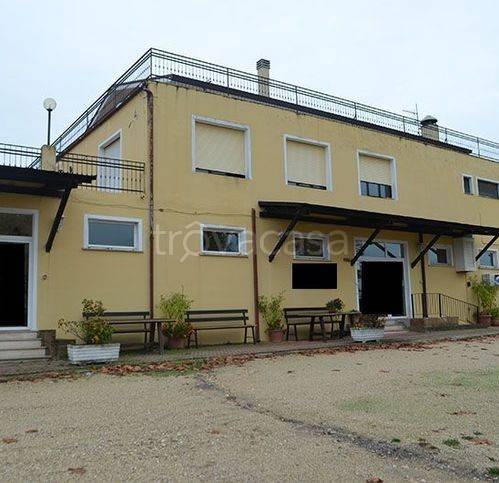 negozio in vendita a Giulianova