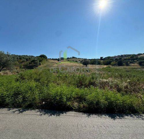 terreno agricolo in vendita a Giulianova