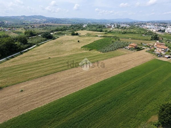 terreno agricolo in vendita a Giulianova in zona Colleranesco
