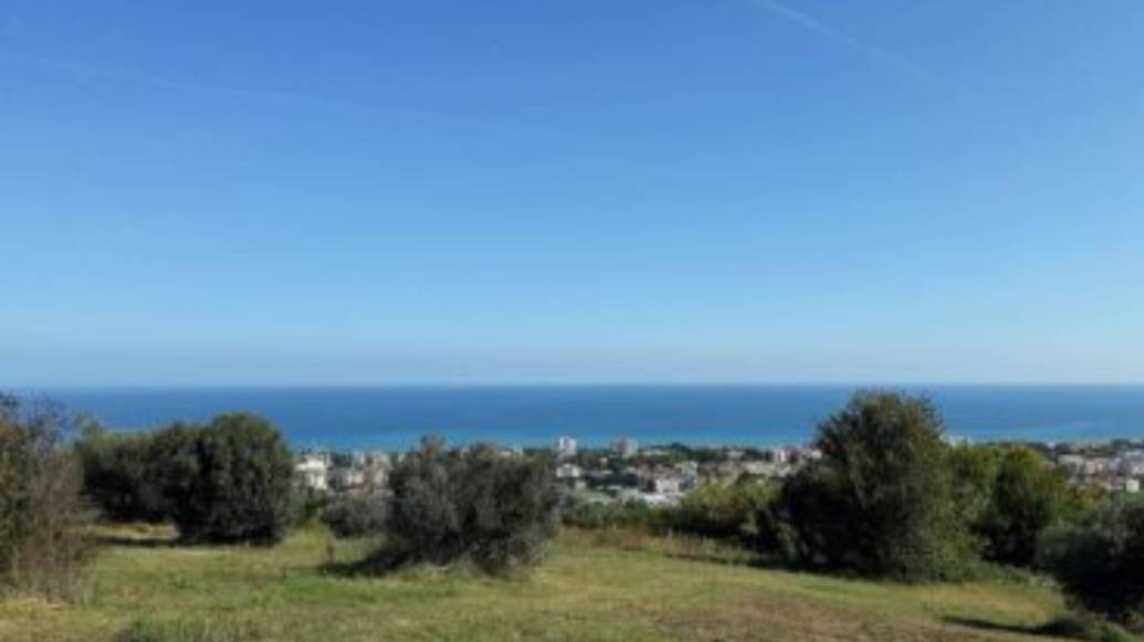 terreno agricolo in vendita a Giulianova in zona Case di Trento