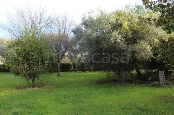 casa indipendente in vendita a Giulianova in zona Colleranesco