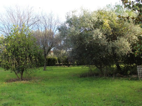 terreno edificabile in vendita a Giulianova in zona Colleranesco