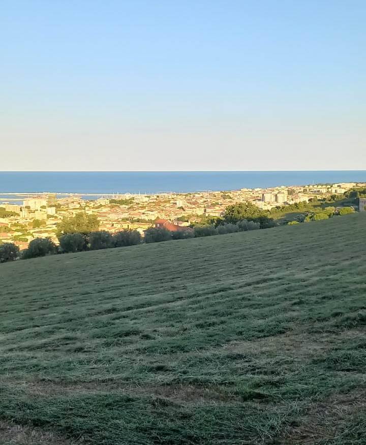 terreno agricolo in vendita a Giulianova in zona Case di Trento