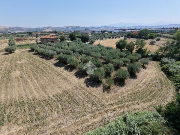 terreno agricolo in vendita a Giulianova