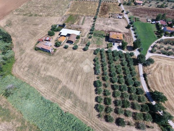 terreno agricolo in vendita a Giulianova
