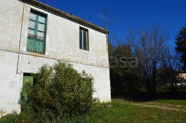 terreno agricolo in vendita a Giulianova in zona Case di Trento