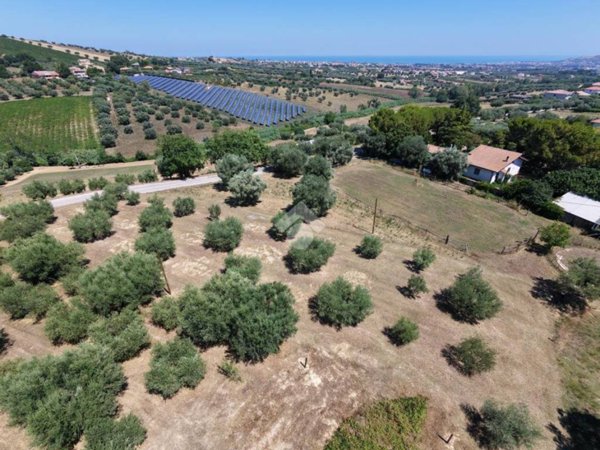 terreno agricolo in vendita a Giulianova in zona Case di Trento