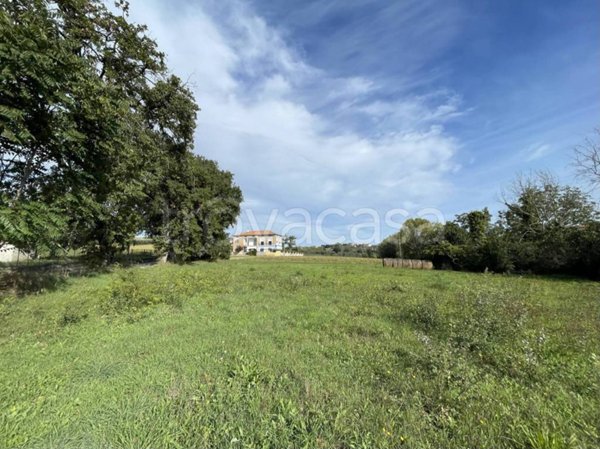 terreno agricolo in vendita a Giulianova