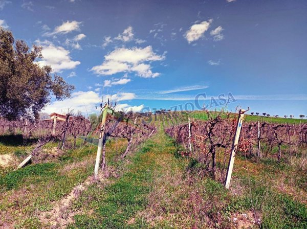 terreno in vendita a Giulianova in zona Case di Trento