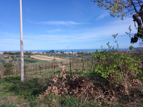terreno in vendita a Giulianova in zona Case di Trento