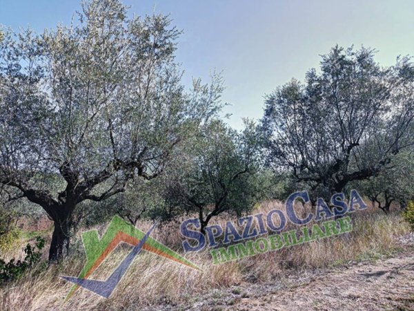 terreno in vendita a Giulianova in zona Case di Trento
