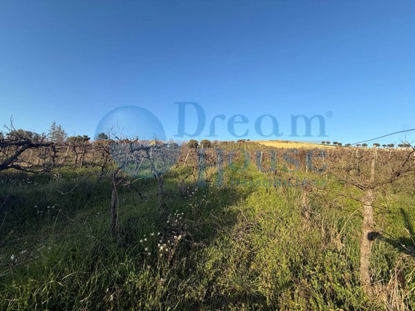 terreno in vendita a Giulianova in zona Case di Trento