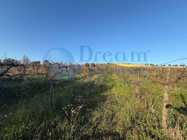 terreno in vendita a Giulianova in zona Case di Trento