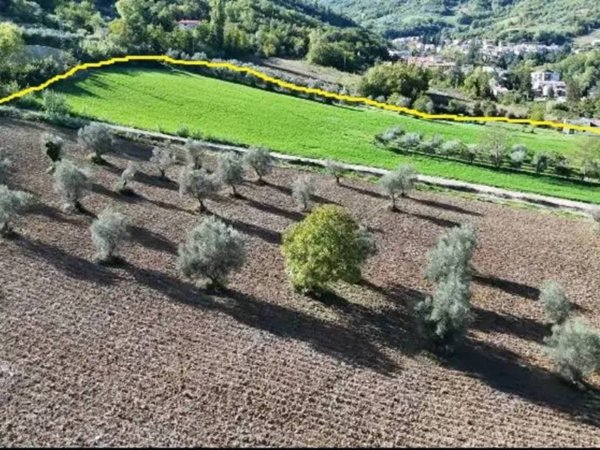 terreno agricolo in vendita ad Isola del Gran Sasso d'Italia