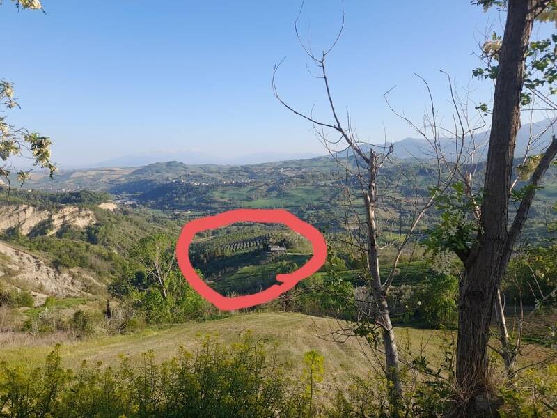 terreno agricolo in vendita a Montefino