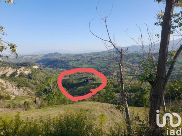 terreno agricolo in vendita a Montefino