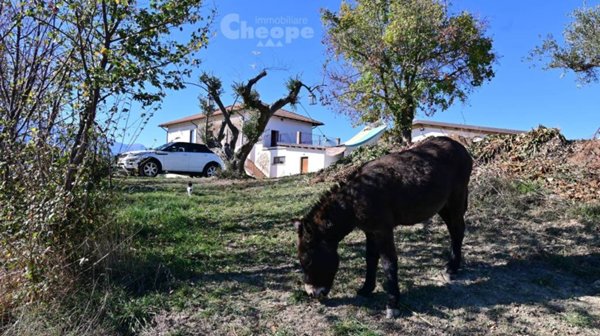 casa indipendente in vendita a Montefino in zona Marciano
