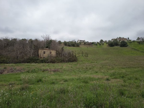 pentavano in vendita a Montorio al Vomano