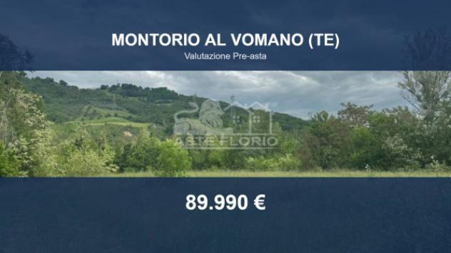 terreno agricolo in vendita a Montorio al Vomano