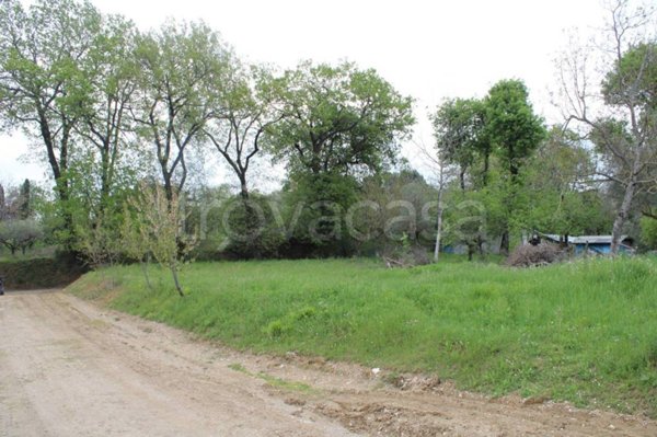 terreno in vendita a Montorio al Vomano in zona Collevecchio