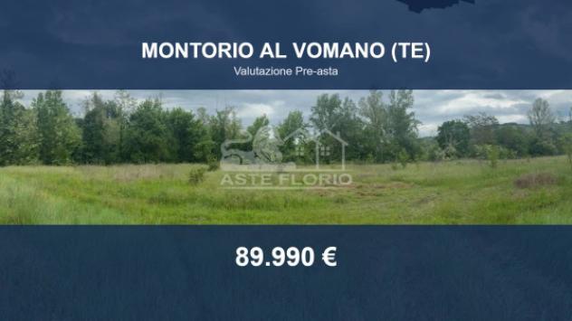 terreno agricolo in vendita a Montorio al Vomano