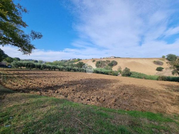 terreno agricolo in vendita a Morro d'Oro in zona Pagliare