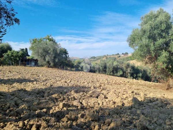 terreno agricolo in vendita a Morro d'Oro in zona Pagliare